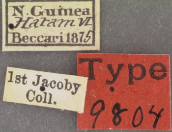 Media type: image; Entomology 9804   Aspect: labels